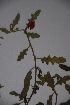  ( - K-0865)  @11 [ ] No Rights Reserved  Unspecified Unspecified
