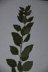  ( - K-0877)  @11 [ ] No Rights Reserved  Unspecified Unspecified