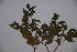  ( - K-1003)  @11 [ ] No Rights Reserved  Unspecified Unspecified