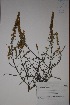  ( - K-1004)  @11 [ ] No Rights Reserved  Unspecified Unspecified