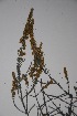  ( - K-1004)  @11 [ ] No Rights Reserved  Unspecified Unspecified