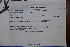  ( - K-1004)  @11 [ ] No Rights Reserved  Unspecified Unspecified