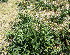  ( - KMS-0005)  @11 [ ] No Rights Reserved  Unspecified Unspecified