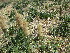  ( - KMS-0005)  @11 [ ] No Rights Reserved  Unspecified Unspecified