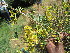  ( - KMS-0013)  @11 [ ] No Rights Reserved  Unspecified Unspecified