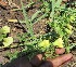 ( - KMS-0040)  @11 [ ] No Rights Reserved  Unspecified Unspecified