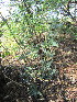  ( - KMS-0049)  @11 [ ] No Rights Reserved  Unspecified Unspecified