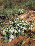  ( - KMS-0050)  @11 [ ] No Rights Reserved  Unspecified Unspecified