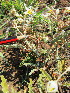 ( - KMS-0065)  @11 [ ] No Rights Reserved  Unspecified Unspecified