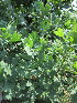  ( - KMS-0072)  @11 [ ] No Rights Reserved  Unspecified Unspecified