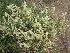  ( - KMS-0085)  @11 [ ] No Rights Reserved  Unspecified Unspecified