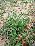  ( - KMS-0106)  @11 [ ] No Rights Reserved  Unspecified Unspecified