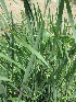  ( - KMS-0119)  @11 [ ] No Rights Reserved  Unspecified Unspecified