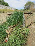  ( - KMS-0119)  @11 [ ] No Rights Reserved  Unspecified Unspecified