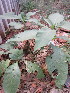  ( - KMS-0149)  @11 [ ] No Rights Reserved  Unspecified Unspecified
