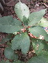  ( - KMS-0149)  @11 [ ] No Rights Reserved  Unspecified Unspecified