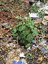  ( - KMS-0165)  @11 [ ] No Rights Reserved  Unspecified Unspecified