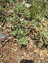  ( - KMS-0167)  @11 [ ] No Rights Reserved  Unspecified Unspecified