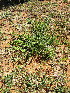  ( - KMS-0173)  @11 [ ] No Rights Reserved  Unspecified Unspecified