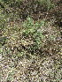  ( - KMS-0177)  @12 [ ] No Rights Reserved  Unspecified Unspecified