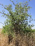  ( - KMS-0178)  @12 [ ] No Rights Reserved  Unspecified Unspecified