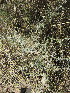  ( - KMS-0183)  @11 [ ] No Rights Reserved  Unspecified Unspecified