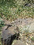  ( - KMS-0192)  @11 [ ] No Rights Reserved  Unspecified Unspecified