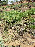  ( - KMS-0198)  @11 [ ] No Rights Reserved  Unspecified Unspecified