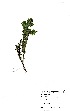  ( - LTM041)  @11 [ ] No Rights Reserved  Unspecified Unspecified