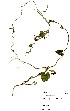  ( - LTM045)  @11 [ ] No Rights Reserved  Unspecified Unspecified
