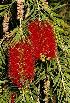  ( - MND-0004)  @11 [ ] No Rights Reserved  Unspecified Unspecified
