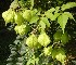  ( - MND-0007)  @11 [ ] No Rights Reserved  Unspecified Unspecified