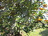  ( - MND-0013)  @11 [ ] No Rights Reserved  Unspecified Unspecified