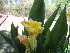  ( - MND-0038)  @11 [ ] No Rights Reserved  Unspecified Unspecified
