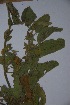  ( - Magodielo-015)  @11 [ ] No Rights Reserved  Unspecified Unspecified