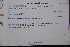  ( - Magodielo-039)  @11 [ ] No Rights Reserved  Unspecified Unspecified