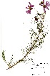  ( - MvdB0036)  @11 [ ] No Rights Reserved  Unspecified Unspecified