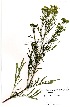  ( - MvdB0038)  @11 [ ] No Rights Reserved  Unspecified Unspecified
