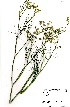  ( - MvdB0045)  @11 [ ] No Rights Reserved  Unspecified Unspecified