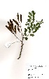 ( - MvdB0058)  @11 [ ] No Rights Reserved  Unspecified Unspecified