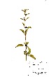  ( - OM0687)  @13 [ ] No Rights Reserved  Unspecified Unspecified