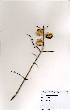  ( - OM1043)  @11 [ ] No Rights Reserved  Unspecified Unspecified