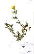  ( - OM1348)  @11 [ ] No Rights Reserved  Unspecified Unspecified