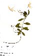  ( - OM1612)  @11 [ ] No Rights Reserved  Unspecified Unspecified