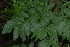  ( - OM2336)  @11 [ ] CreativeCommons - Attribution Non-Commercial Share-Alike (2011) Olivier Maurin University of Johannesburg