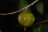  ( - OM2489)  @11 [ ] Unspecified (default): All Rights Reserved  Unspecified Unspecified