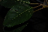  ( - OM2496)  @11 [ ] CreativeCommons - Attribution Non-Commercial Share-Alike (2011) Olivier Maurin University of Johannesburg