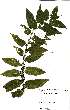  ( - OM2500)  @11 [ ] No Rights Reserved  Unspecified Unspecified