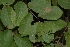  ( - OM2519)  @11 [ ] CreativeCommons - Attribution Non-Commercial Share-Alike (2011) Olivier Maurin University of Johannesburg