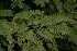  ( - OM2520)  @11 [ ] CreativeCommons - Attribution Non-Commercial Share-Alike (2011) Olivier Maurin University of Johannesburg